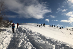 1_20191207_122334473_iOS-2