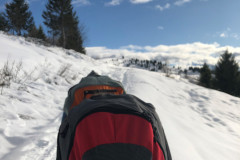 20191207_120338396_iOS-2