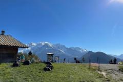 PHOTO-2021-10-17-15-33-48